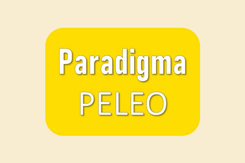 Ersatzteile Paradigma Peleo Pelletkessel