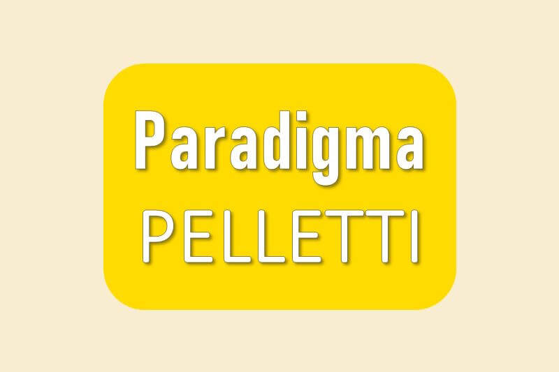 Ersatzteile Paradigma Pelletti II, III, Mini und Maxi Pelletkessel
